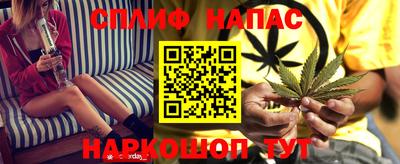 мдпв Аргун