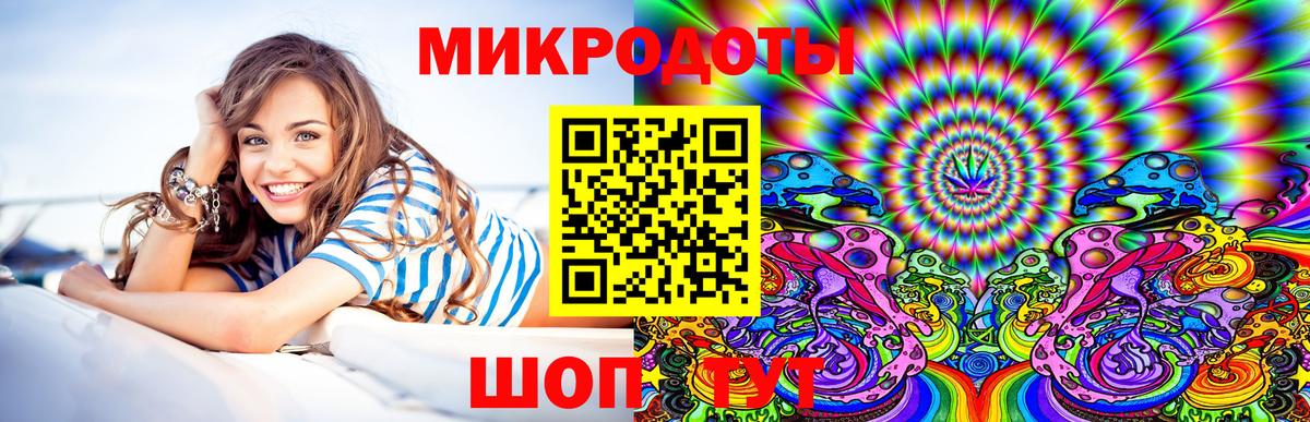 Артём  Галлюциногенные грибы Psilocybe  что такое   Вход с VPN 