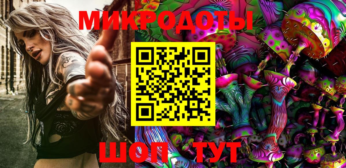 Псилоцибиновые грибы Psilocybe Артём