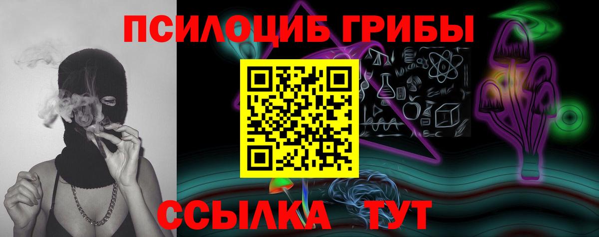 как найти   Артём  Галлюциногенные грибы Psilocybine cubensis 